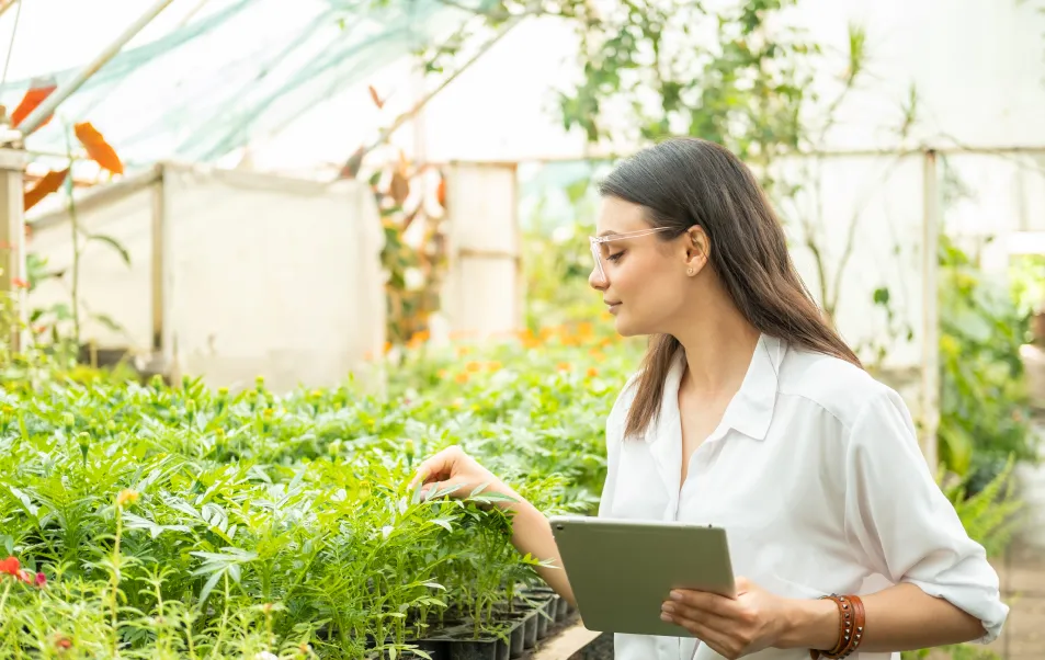 Maestría en Gestión Ambiental